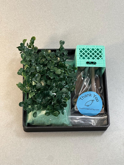 Quail Zen Garden