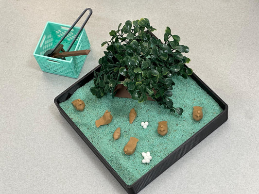 Quail Zen Garden