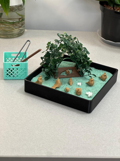 Quail Zen Garden