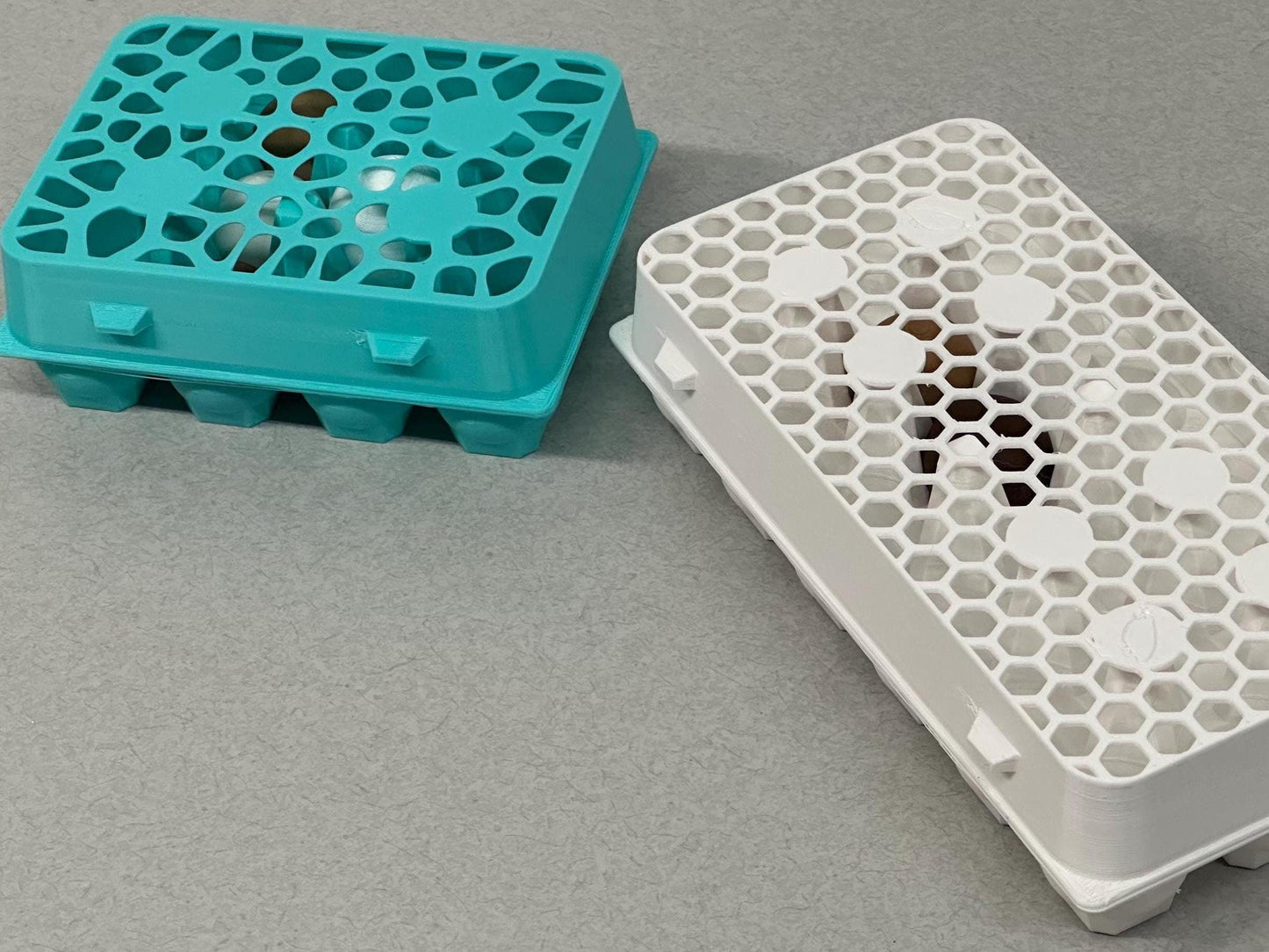 Modern Vented Quail Egg Carton