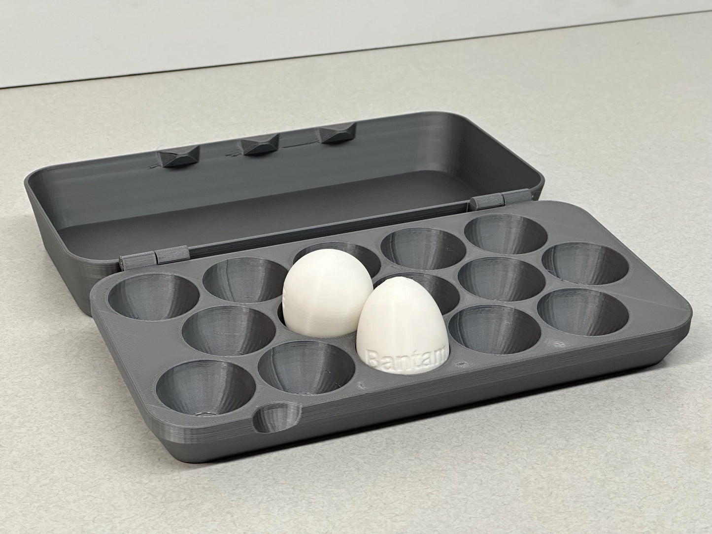 Modern Egg Carton for Small Chicken Eggs
