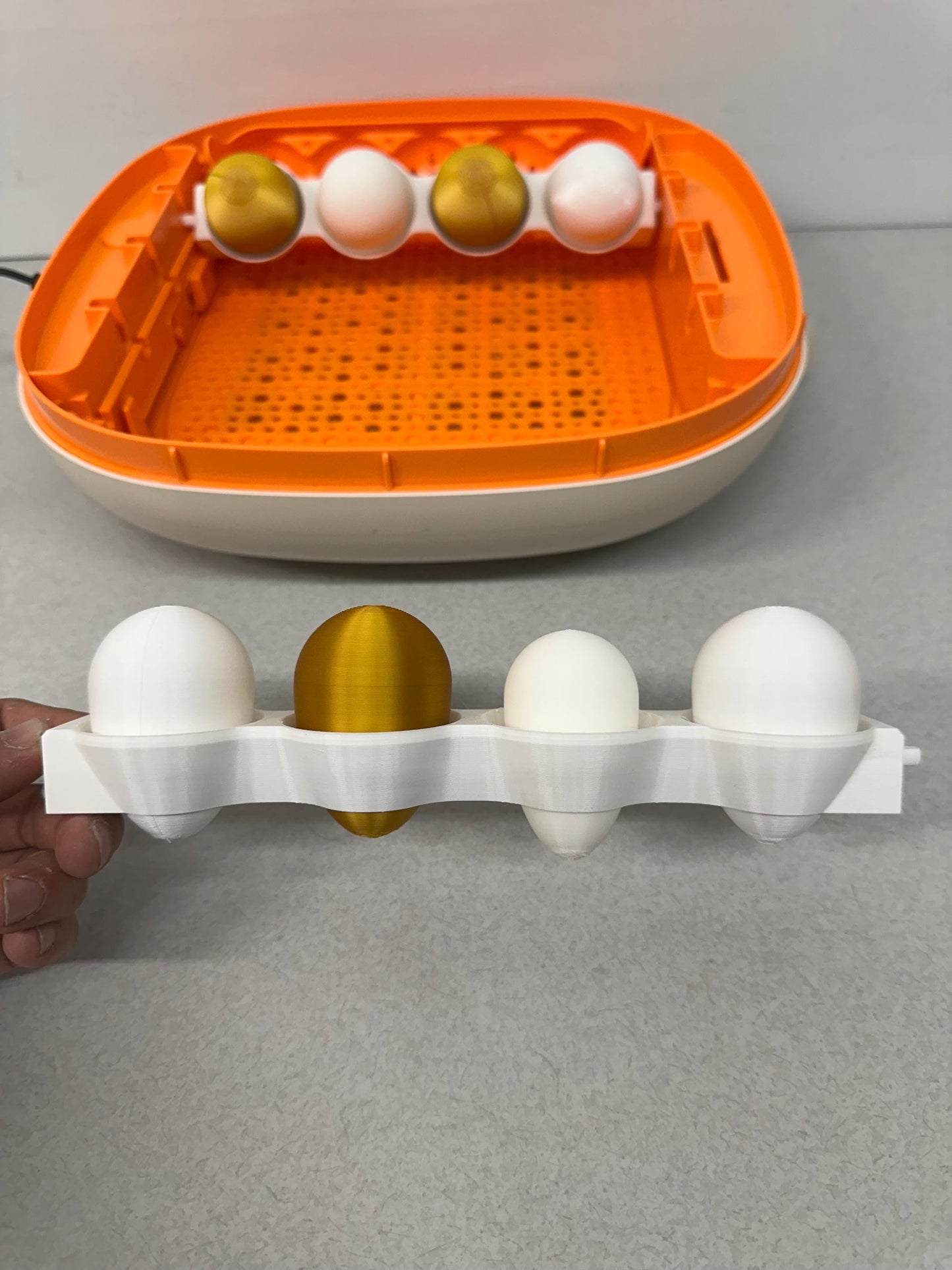 ChickCozy Incubator Egg Basket