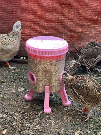 Quail Feeder Container with 3-Ports