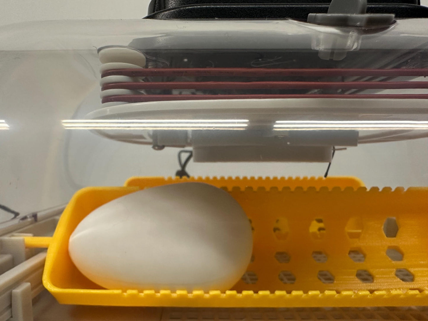 Egg Basket Replacement for Maticoopx 20 Incubators