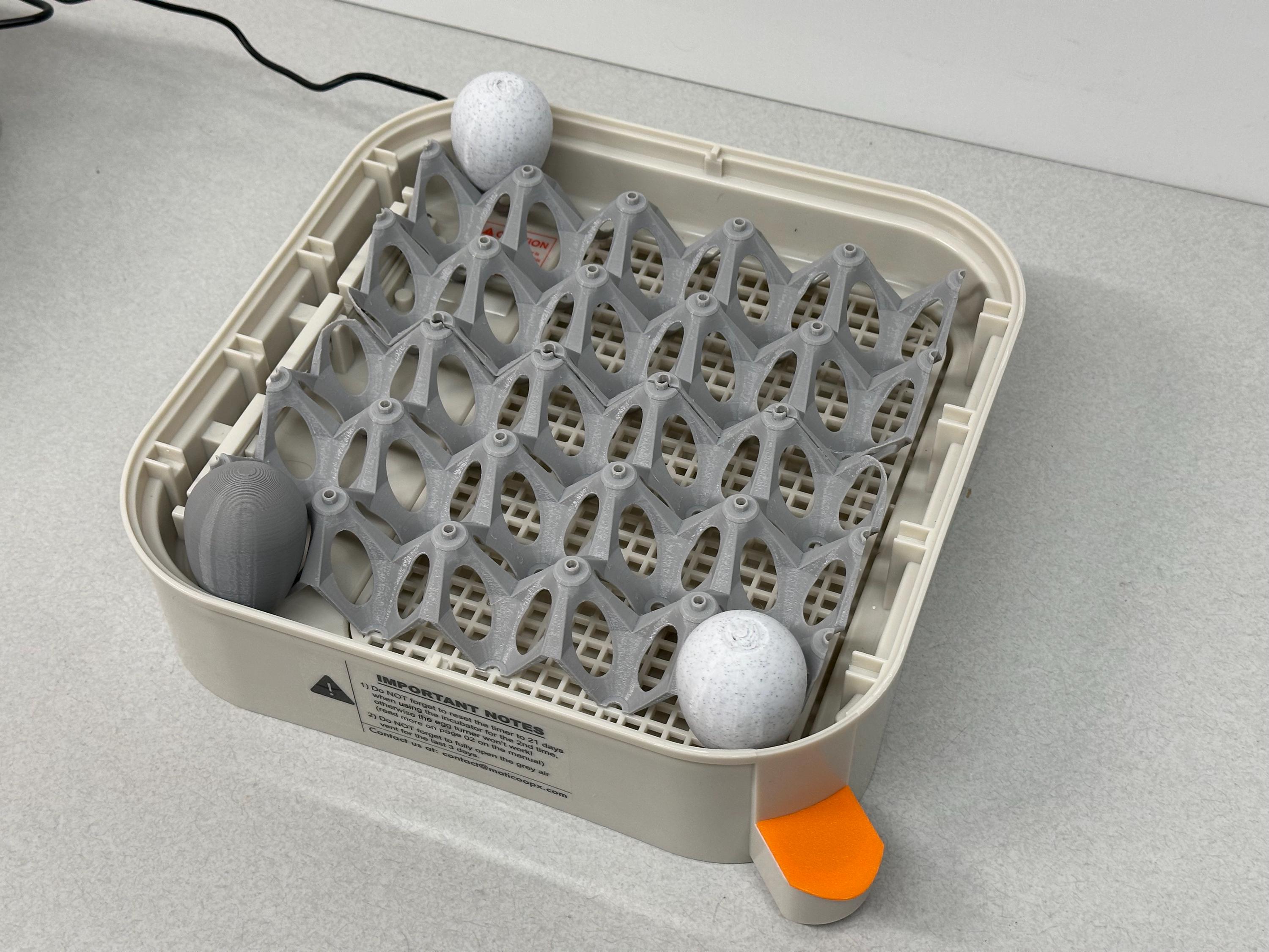 Upright Egg Support Tray for Maticoopx 20 – Quail Prints Co