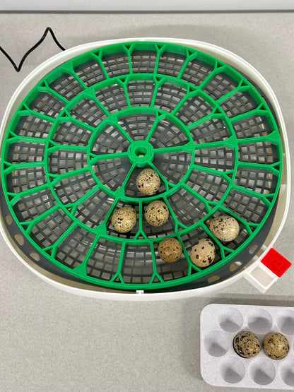 Nurture Right 360 Incubator Trays for Egg Turner