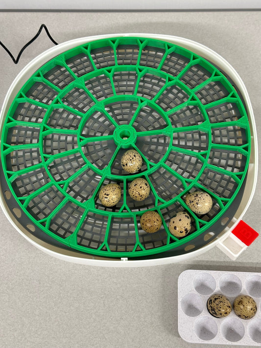 Nurture Right 360 Incubator Trays for Egg Turner
