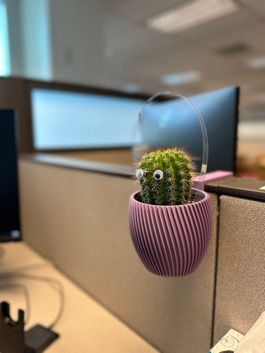 Wall Planter