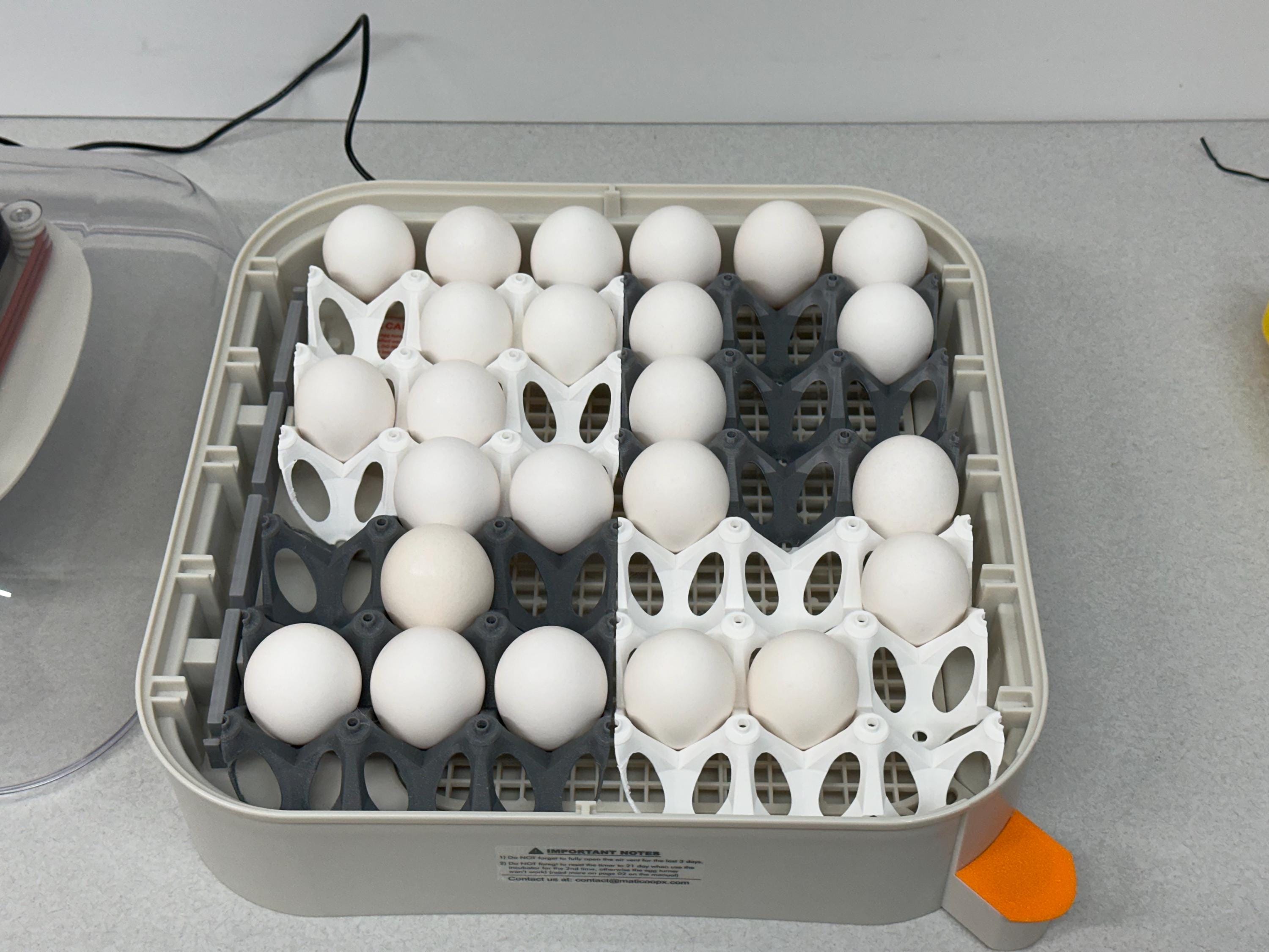 Upright Egg Support Tray for Maticoopx 30 – Quail Prints Co