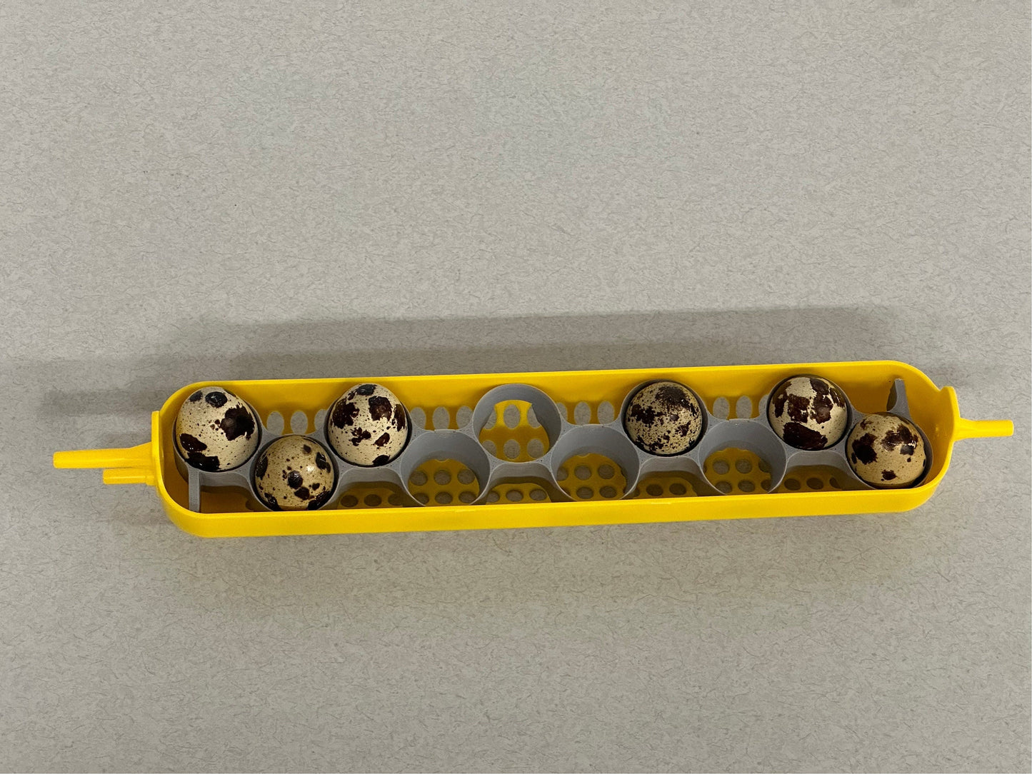 Maticoopx Jumbo Coturnix Quail Egg Rack for Incubators