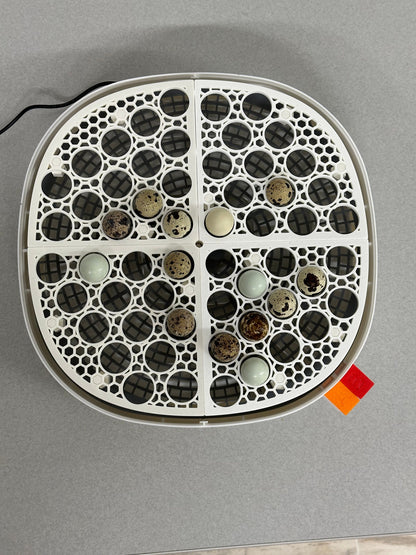 Vertical Incubator Trays for Nurture Right 360