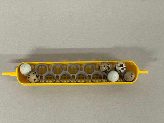 Maticoopx Coturnix Quail Egg Rack for Incubators