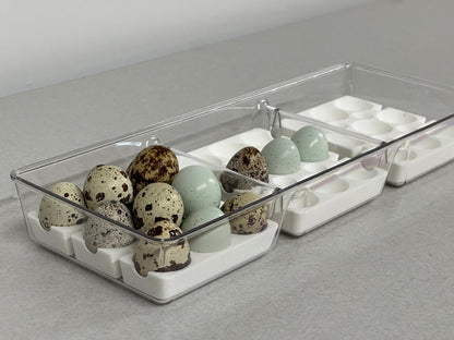Custom Coturnix Quail Egg Tray System