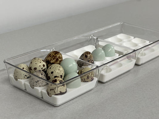 Custom Coturnix Quail Egg Tray System