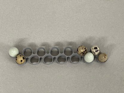 Maticoopx Coturnix Quail Egg Rack for Incubators