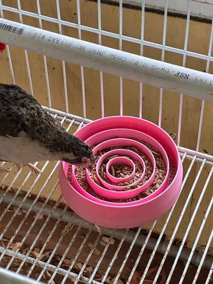 Ultimate Quail Feeding Dish