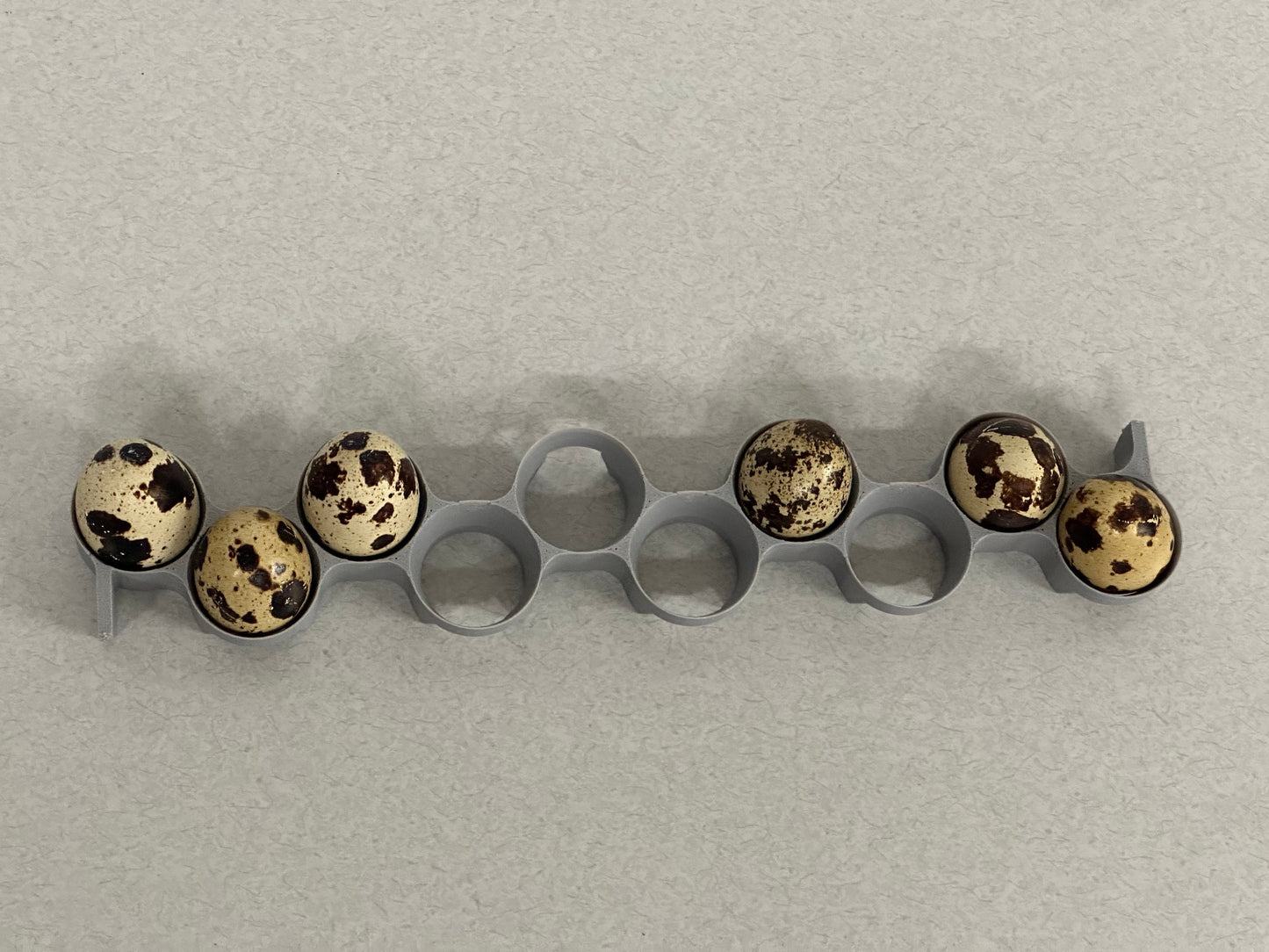 Maticoopx Jumbo Coturnix Quail Egg Rack for Incubators