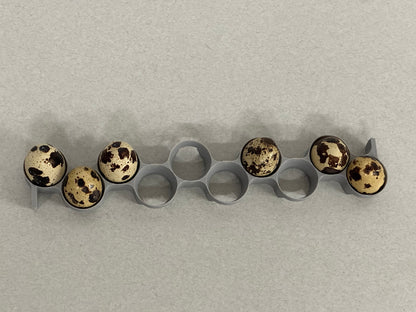 Maticoopx Jumbo Coturnix Quail Egg Rack for Incubators