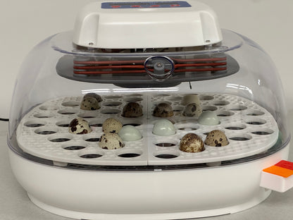 Vertical Incubator Trays for Nurture Right 360