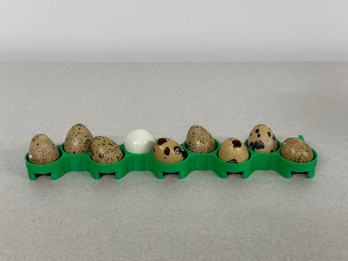 Cimuka CT120 Jumbo Quail Egg Rack for Incubators