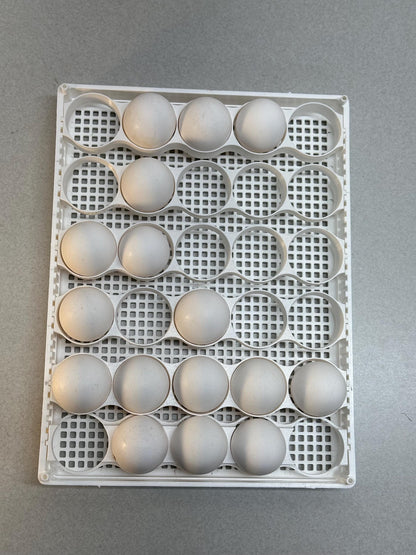 Custom Egg Trays for Cimuka HB350 Setter Baskets