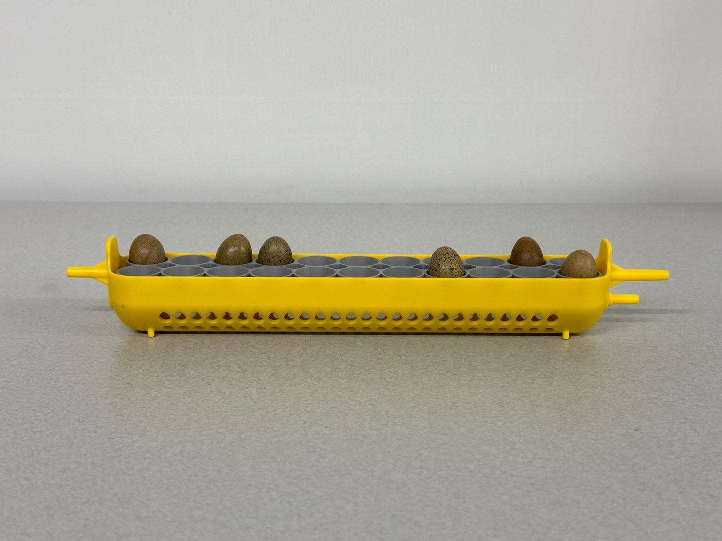 Maticoopx Tiny Button Quail Egg Rack for Incubators