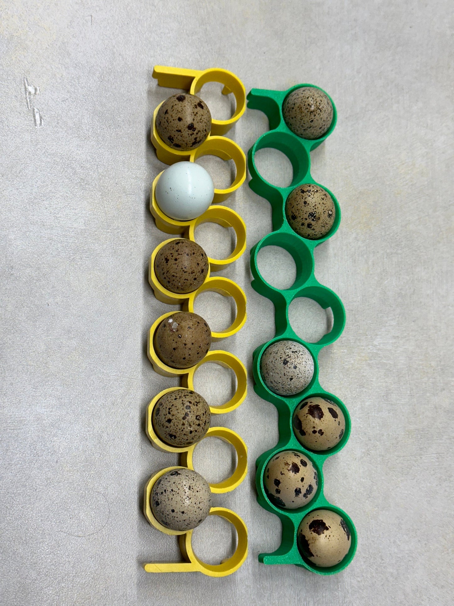 Cimuka CT120 Jumbo Quail Egg Rack for Incubators