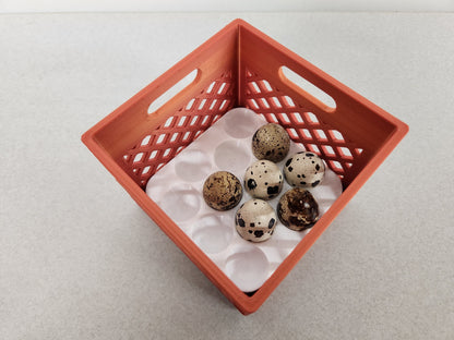 Mini Crates with Flexible Quail Egg Trays