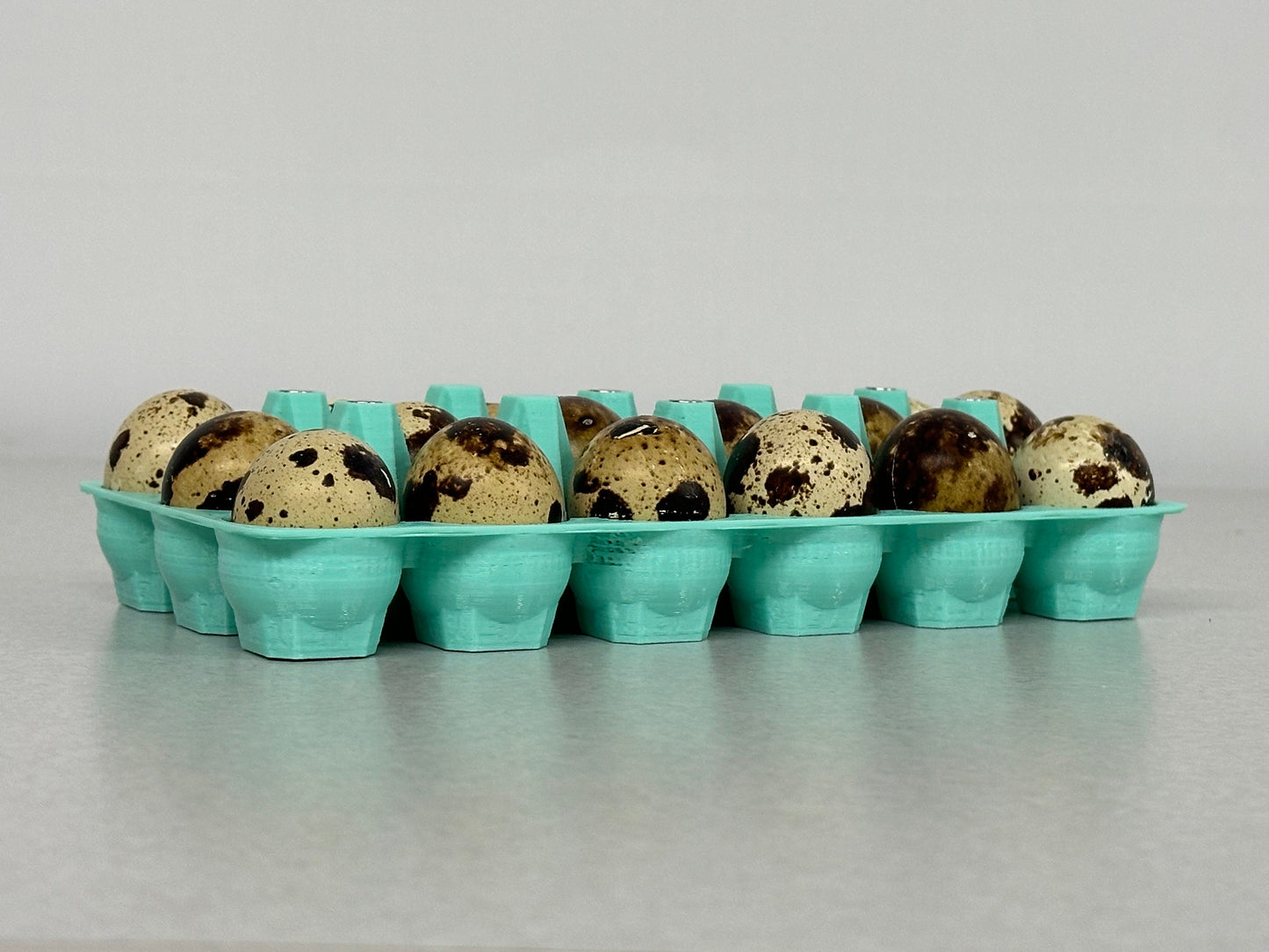 Adorable Classic Coturnix Quail Egg Carton