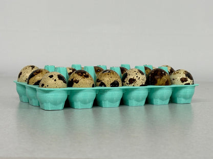 Adorable Classic Coturnix Quail Egg Carton