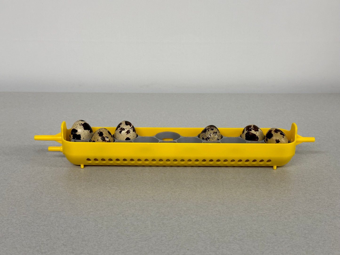 Maticoopx Jumbo Coturnix Quail Egg Rack for Incubators