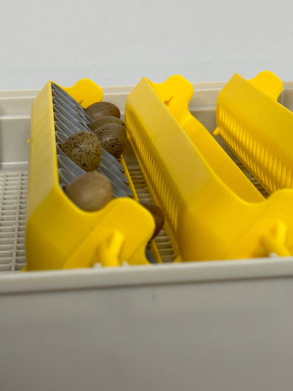 Maticoopx Tiny Button Quail Egg Rack for Incubators