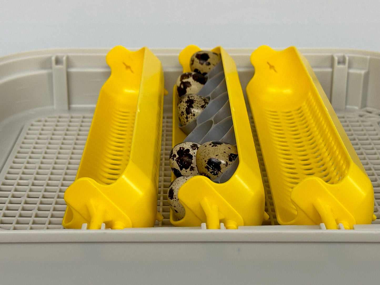 Maticoopx Jumbo Coturnix Quail Egg Rack for Incubators