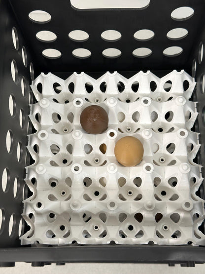 Stackable Coturnix Quail Egg Carton
