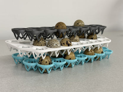 Custom Stackable Coturnix Quail Egg Tray