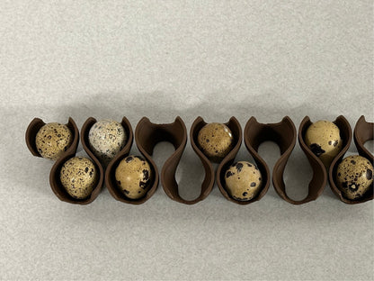 Jumbo Coturnix Quail Egg Stackable Tray