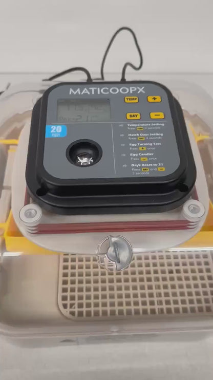 Egg Basket Replacement for Maticoopx 20 Incubators