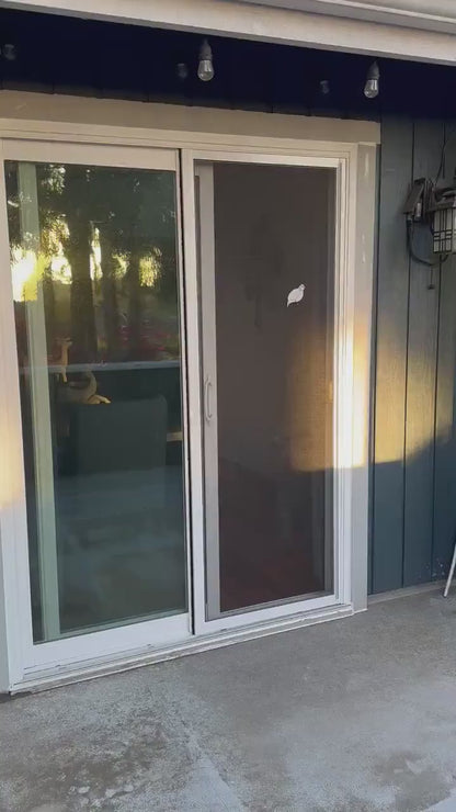 Quail Screen Magnet