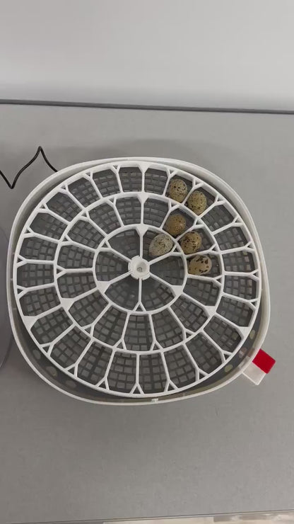 Nurture Right 360 Incubator Trays for Egg Turner (Pre-Assembled)