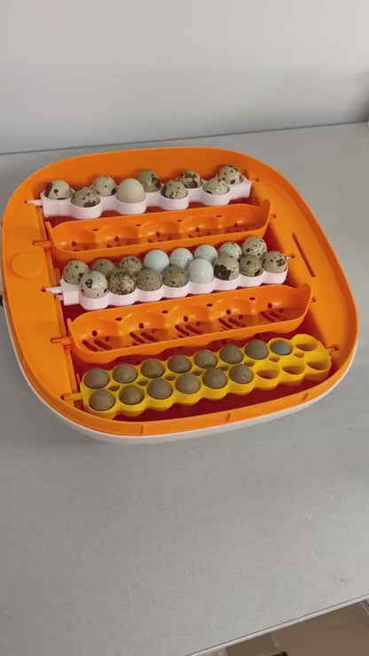 ChickCozy Incubator Egg Basket