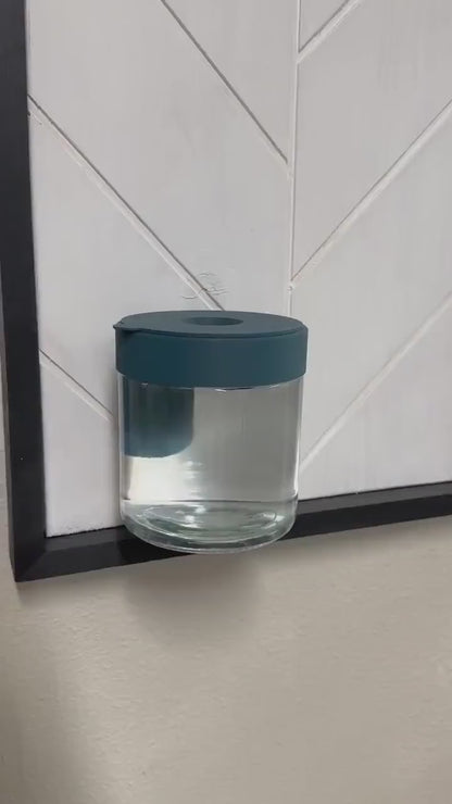Water-Plant Wall Hanging Planter