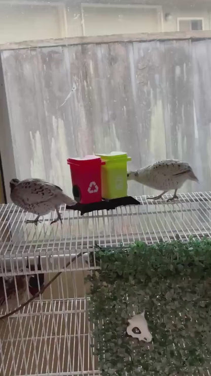 Mini Quail Treat Feeder