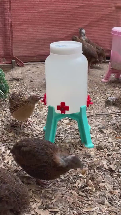 Quail Waterer with 4 Spring-Loaded Water Nipples