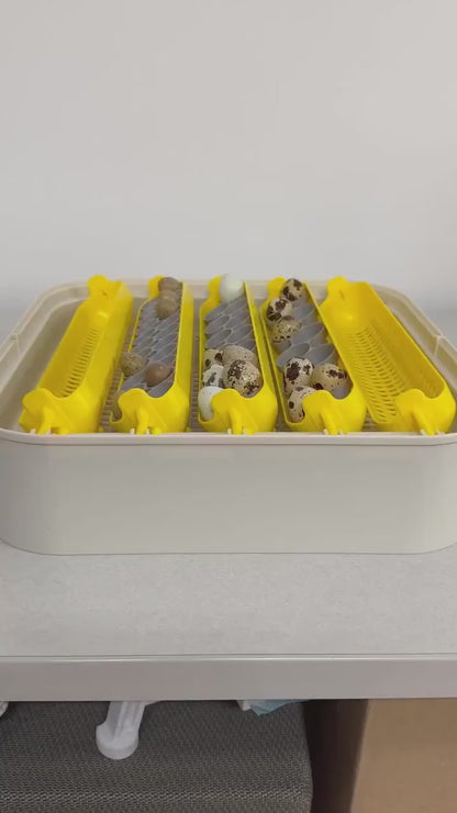 Maticoopx Coturnix Quail Egg Rack for Incubators